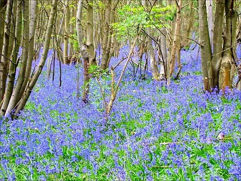 Taoheedi Naat Nasheed Moat Ki Aaghosh Me Fahad Shah