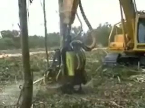 Plus besoin de bûcheron et à se rythme là il y aura plus de forêts dévorer par ces engins