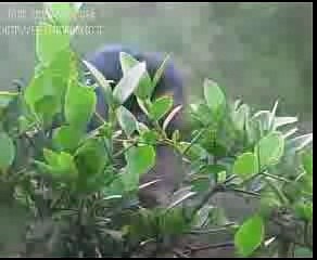 Rooh da Libas day by Pastor Indryas Shaghal