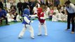 Karate Tournament of 