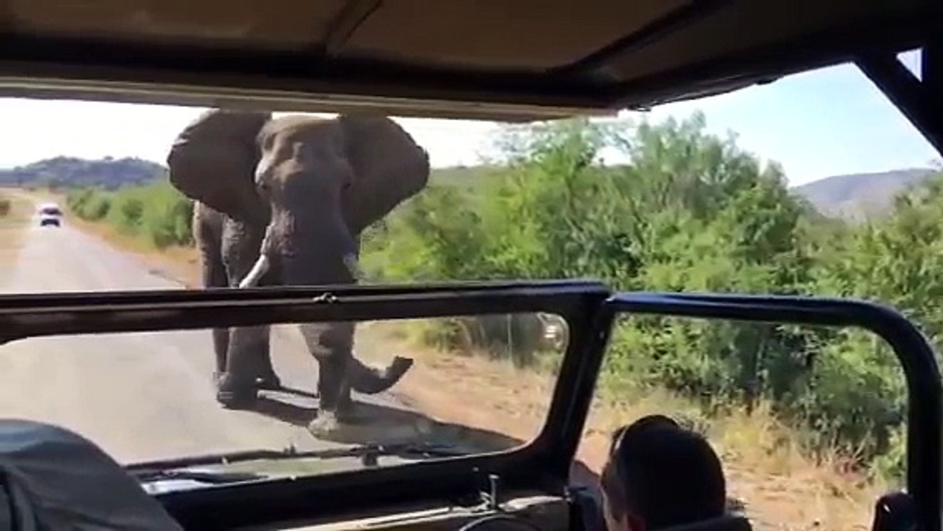 ⁣Elephant Encounter South Africa