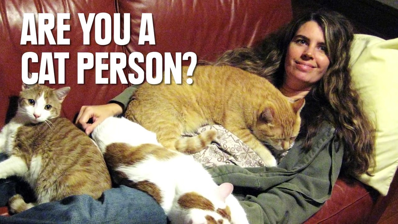 12 Reasons Why Cat People Are Crazy Awesome
