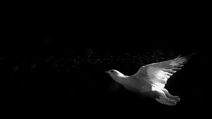 Mehmet Özkaya - Gönlü Güvercinli Kadın