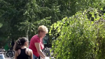 Le Stagioni del Donbass. Donbass Seasons (Sottotitoli in italiano)