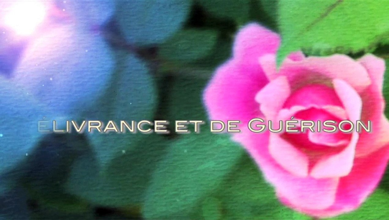 guerisseur