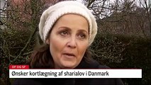 Efter afsløring Partier vil kortlægge sharialov i Danmark