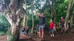 Raiders of the Lost Ark Rope Swing, Kauai