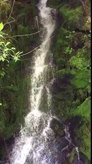 Waterfall on John Wayne Trail