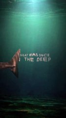 THE SHALLOWS - Blake Lively - Shark Horror Movie