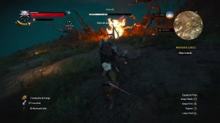 The Witcher 3: Wild Hunt / Imlerith Boss Fight
