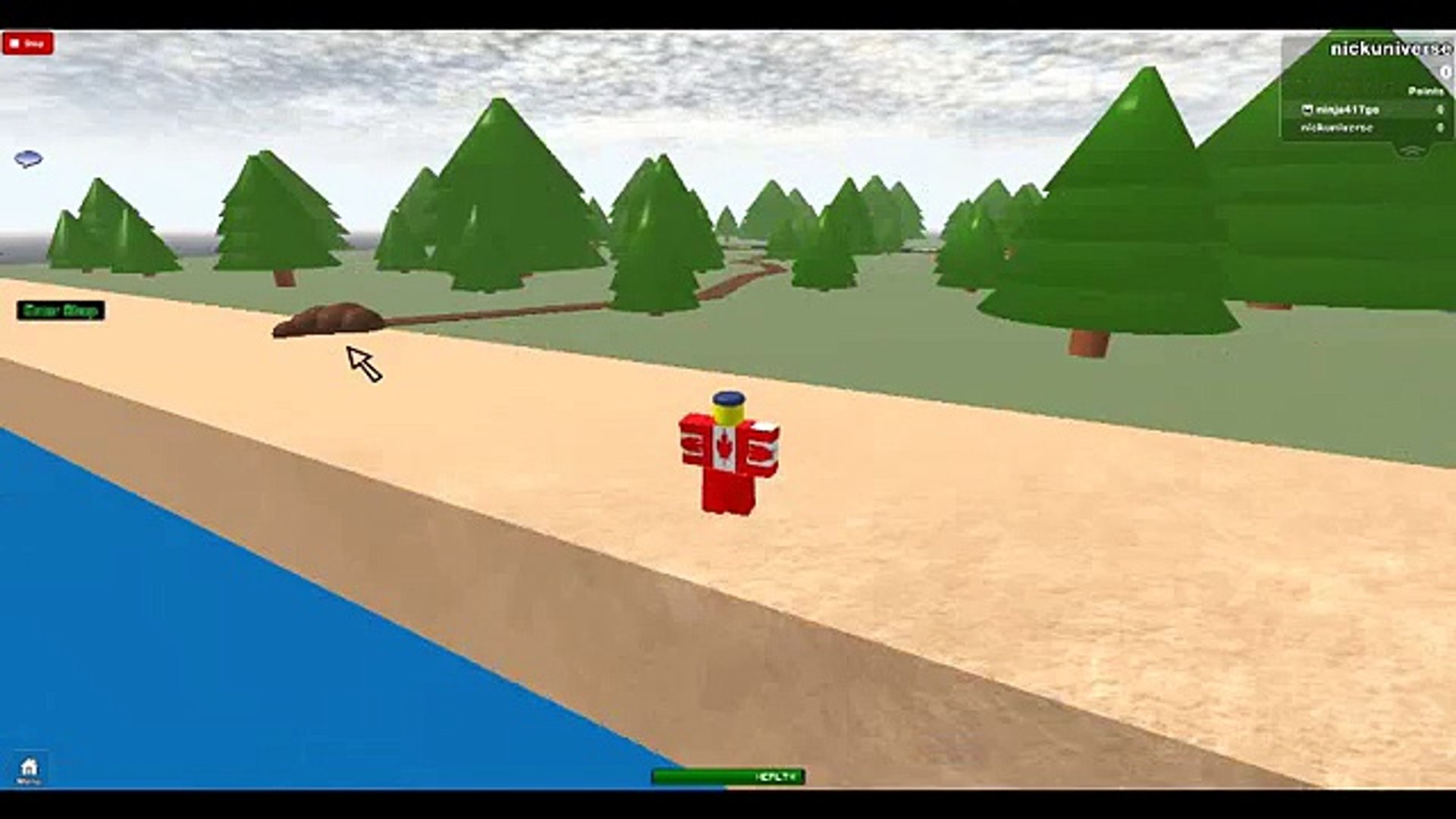 roblox game test crashes