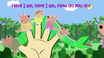 Pepa Pig Kangaroo Finger Family Nursery Rhymes Lyrics and More