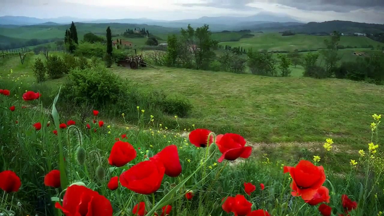 Once Upon A Time In The West  TOSKANA1