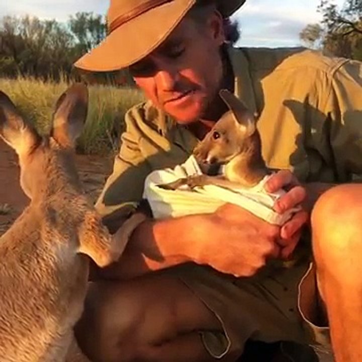 Indi Meet Jimmy