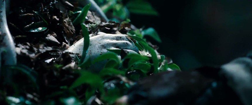 Lord of the Rings The Fellowship of the Ring (Extended Edition) - Aragorn on his mother's grave