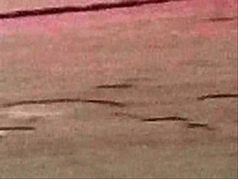 UFOs forming crop circles