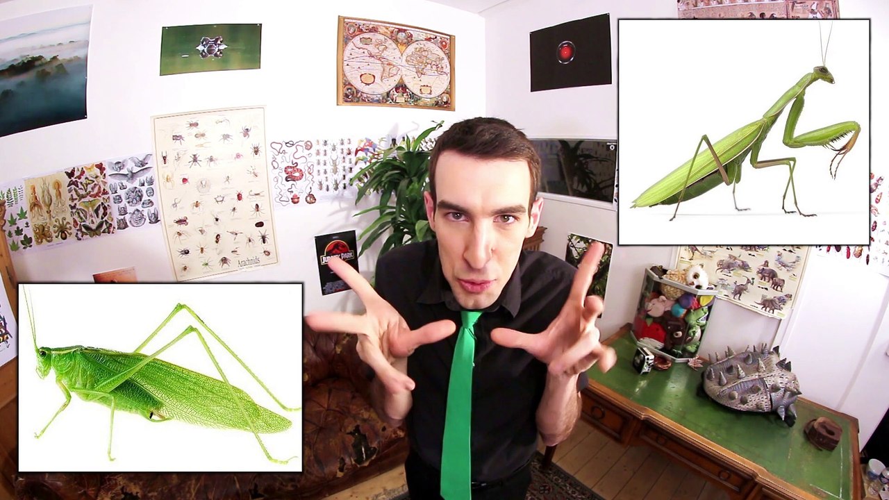 Idée reçue : Les zombies n'existent pas ? feat. DOC SEVEN