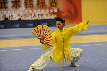 Tai Chi Kung Fu Fan