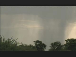 NATURE |  Kalahari: The Great Thirstland | A surprising resi