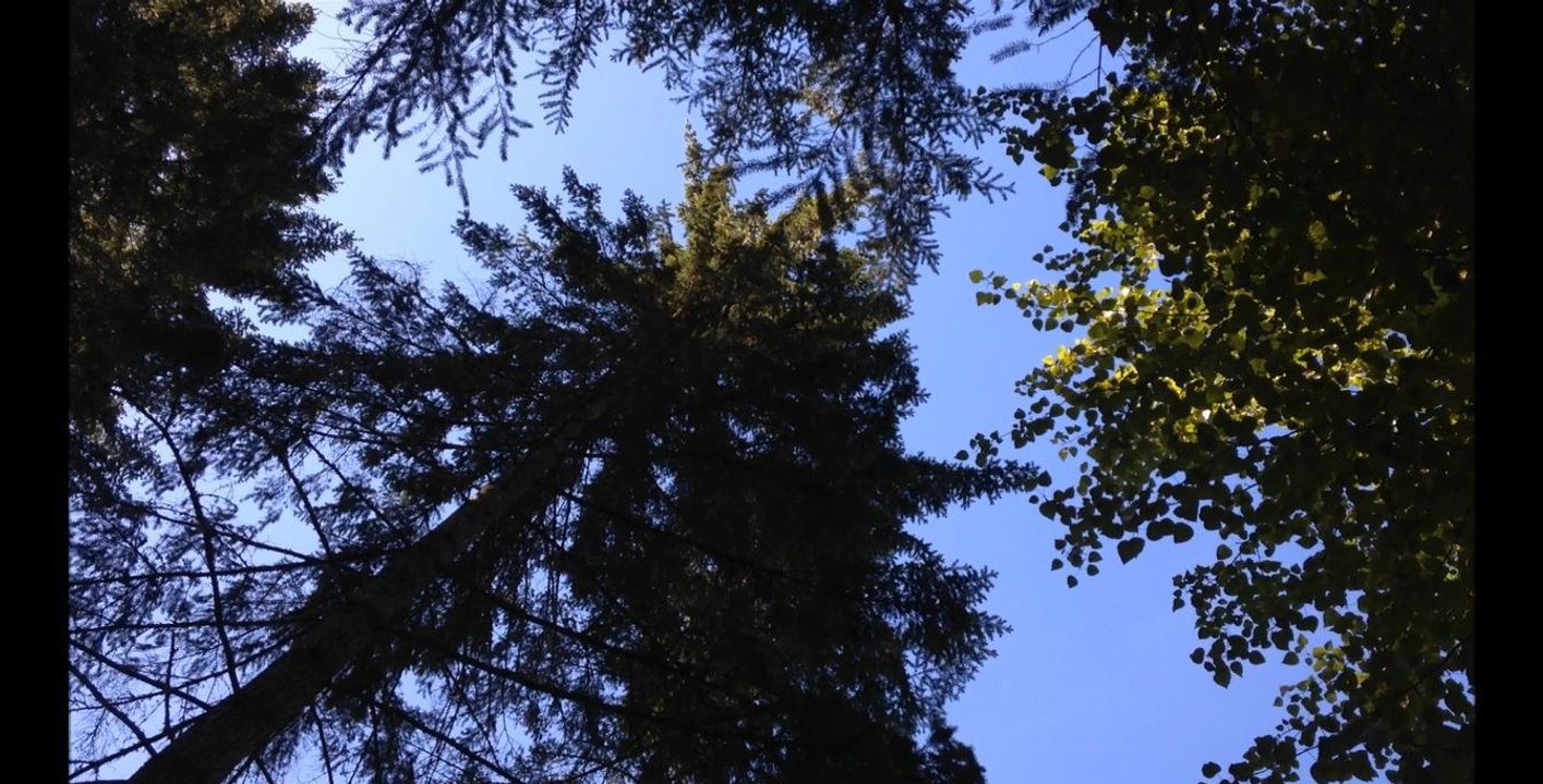 Lisa’s Song - Allison Crowe and Band - Heirs + Grievances