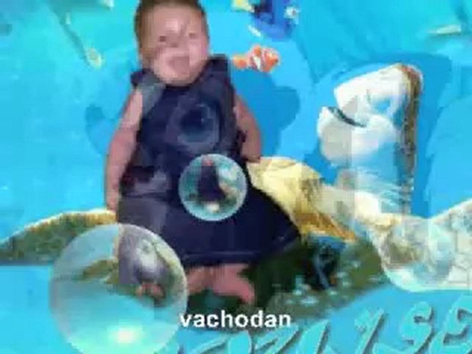 Video digi de nos loulous