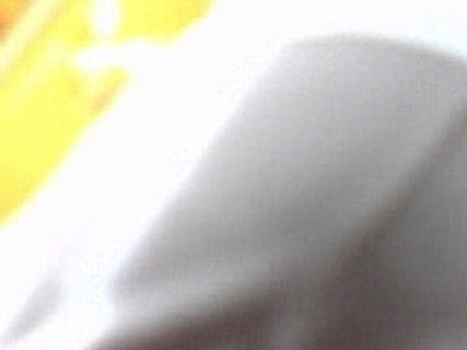 pet 123456789