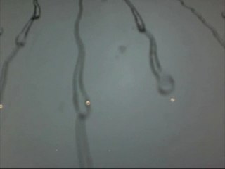 I like London in the Rain