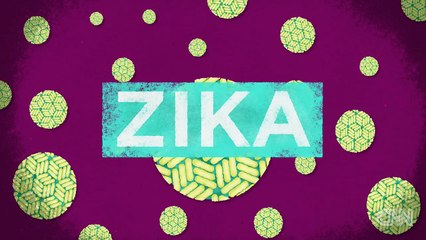 Everything you need to know about Zika