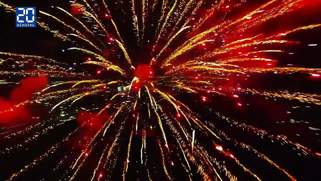 Video fun avec nos amis les bêtes