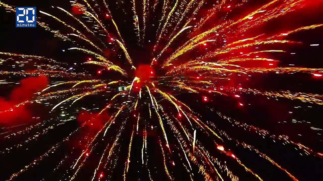 Video fun avec nos amis les bêtes