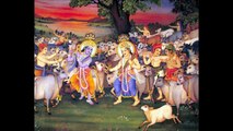 Nectar of Devotion - 23 - Krsna's Personality