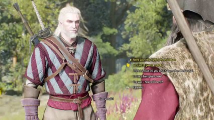 The witcher 3 (142)
