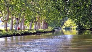 Game where is the Bumbuzz - find the Bumbuzz on the canal du midi -English and geography for kids