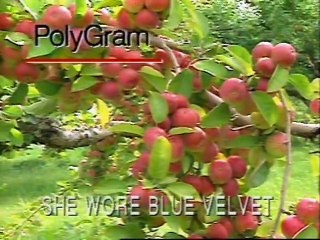 Blue Velvet - Video Karaoke (PolyGram) - Minus One