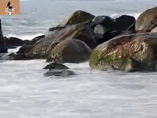 ANANDERI SAGAR HOTE - SRIKANTA ACHARYA