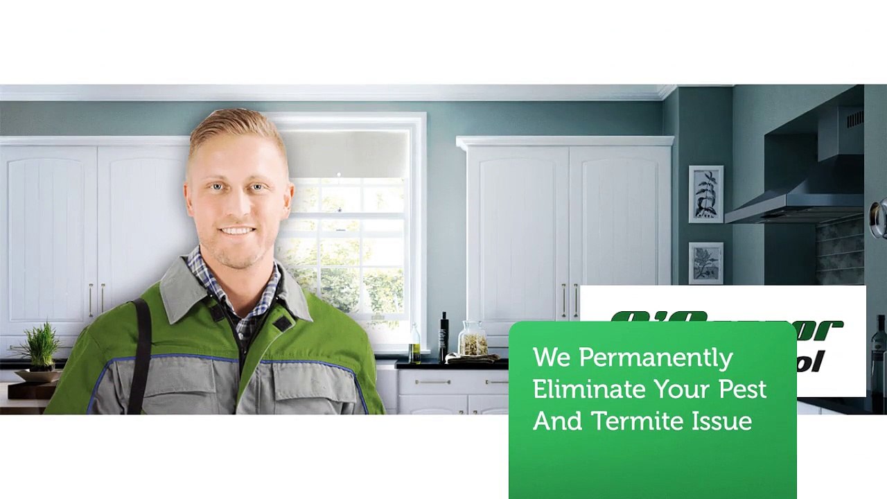 O'Connor Pest & Termite Control Service in Oxnard