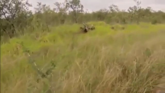 Animals fighting fail compilation 2016 funny videos