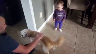 funny baby and her Dog! 640x360 2