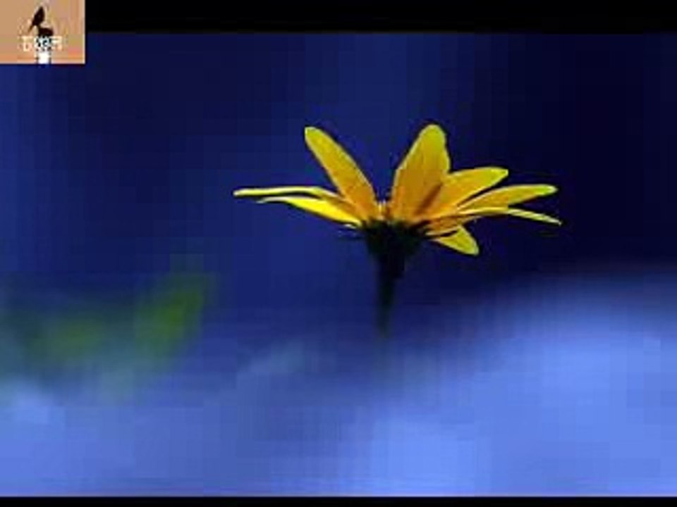 PHUL BOLE DHANYA AMI - ARUNDHATI HOLM CHOWDHURY