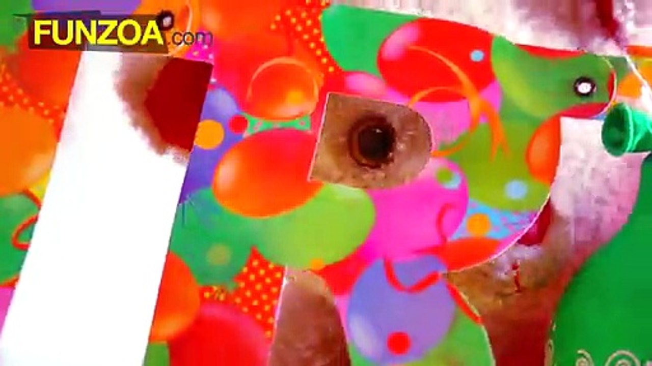 Hindi Birthday Song - Funniest Song Online - Video Dailymotion