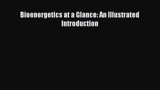 Read Books Bioenergetics at a Glance: An Illustrated Introduction E-Book Free