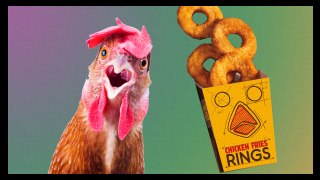 If You Like It Then You Make A Chicken Ring Of It!! - Food Feeder