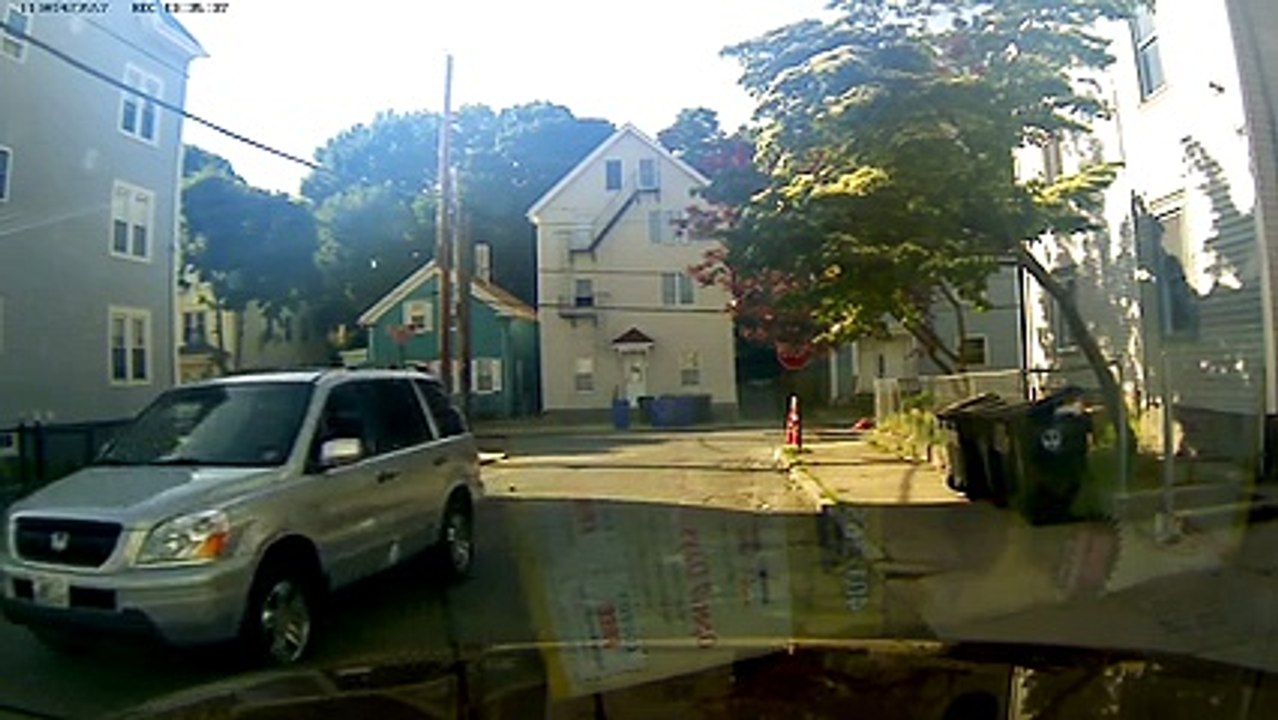 Un conducteur roule sur un type et son chien