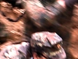 BET 01/07/2007 - Petit coup de stress - by Jack