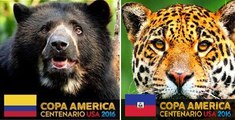 Poner Filtro Copa America Centenario ( y campañas)  en foto de perfil Facebook