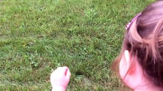 Avi jumps in wet grass...wait for it.