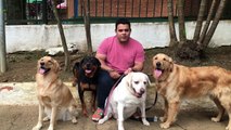 Cachorro no parque ou parque para cachorros!! Vídeo postado em 01/02/2016