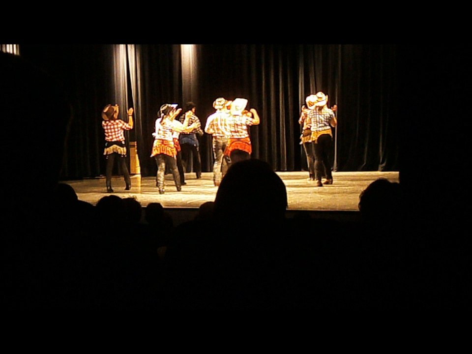 Lévis Country Line Danse au Chesnay le 22 mai 2016