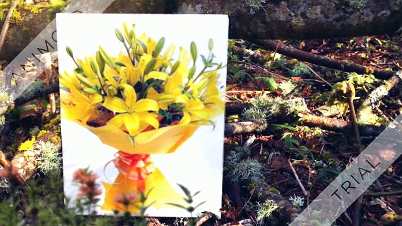 Flower Franchise | Ferns N Petals |  Contact Us +91 92124 22000