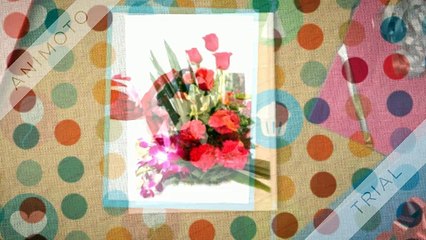 Gift Shop Franchise | Ferns N Petals |  Contact Us +91 92124 22000